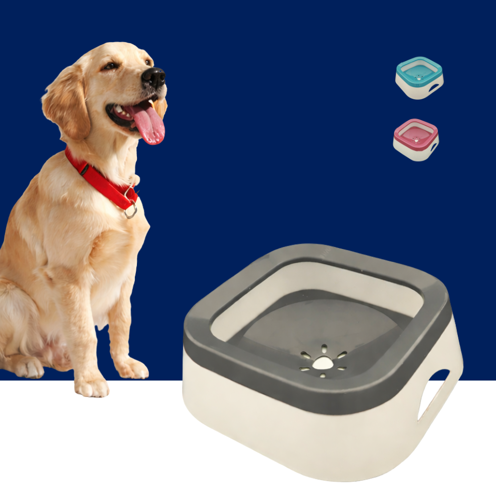 Large Non Spill Water Bowl for Dogs