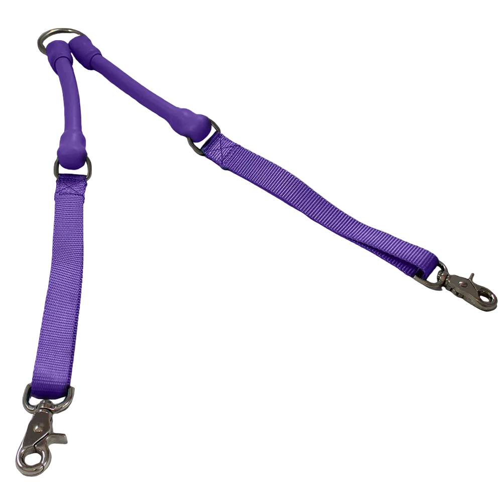 2 Dogs on 1 Leash