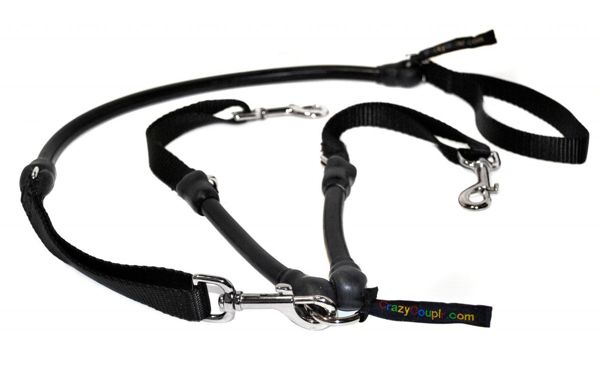 2 Dogs on 1 Leash