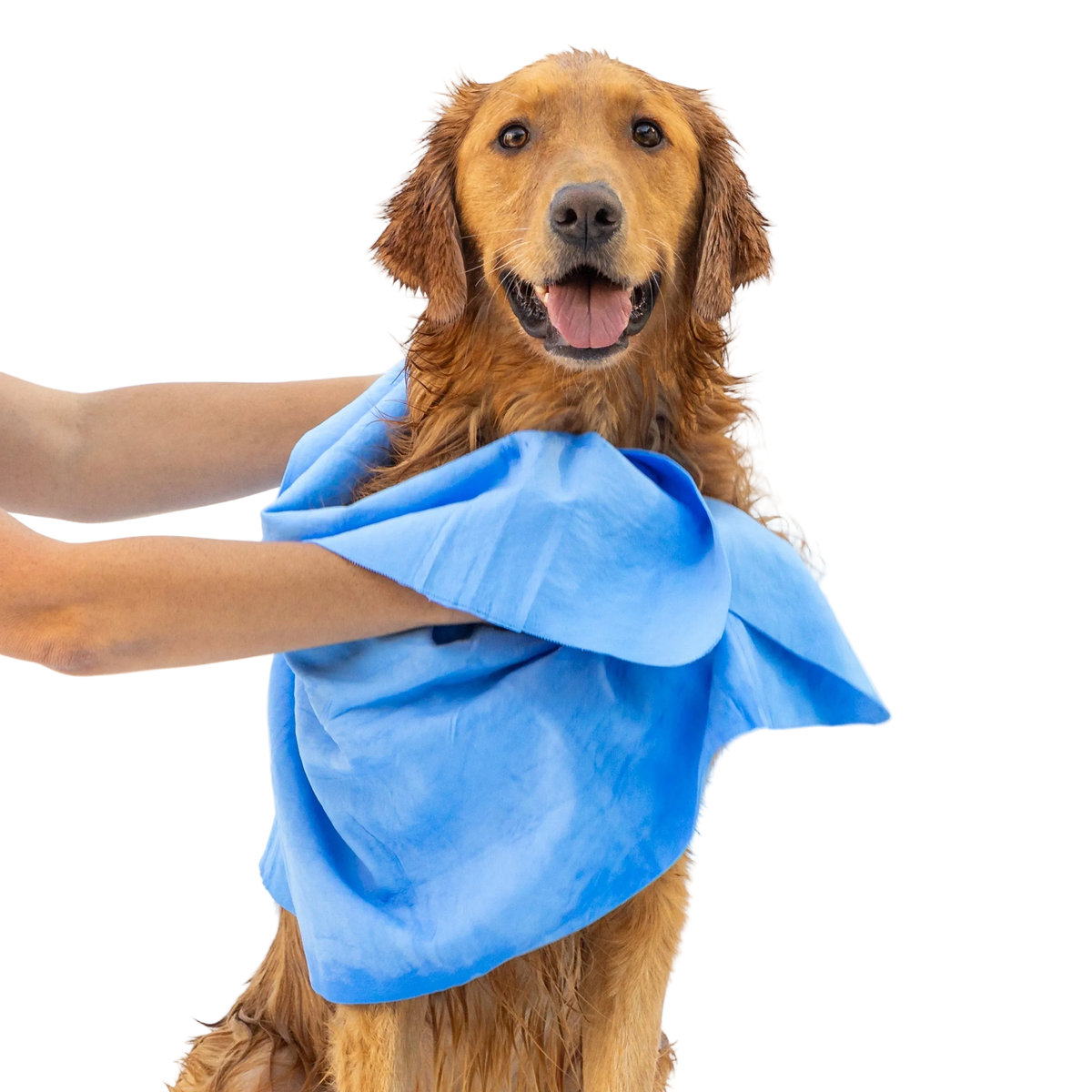 Dog Drying Shammy Towel