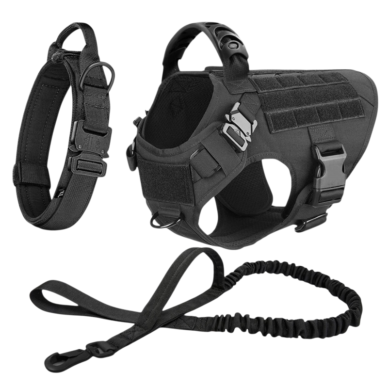 Large Dog Harness & Leash Set – Training Vest for Big Breeds