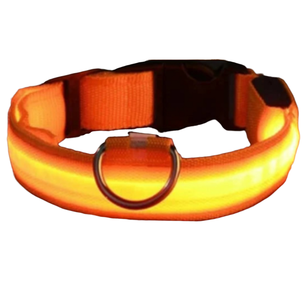 LED Pet Dog Collar for Night Safety | Bright USB Rechargeable