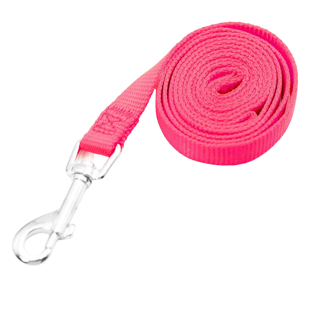 Jeffers 1-Ply Web Nylon Dog Leashes