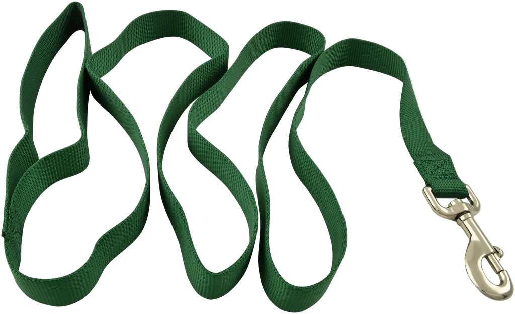 Jeffers 1-Ply Web Nylon Dog Leashes
