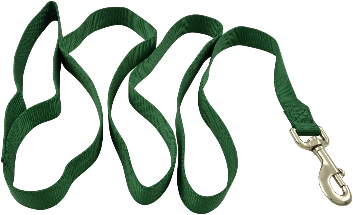 Jeffers 1-Ply Web Nylon Dog Leashes