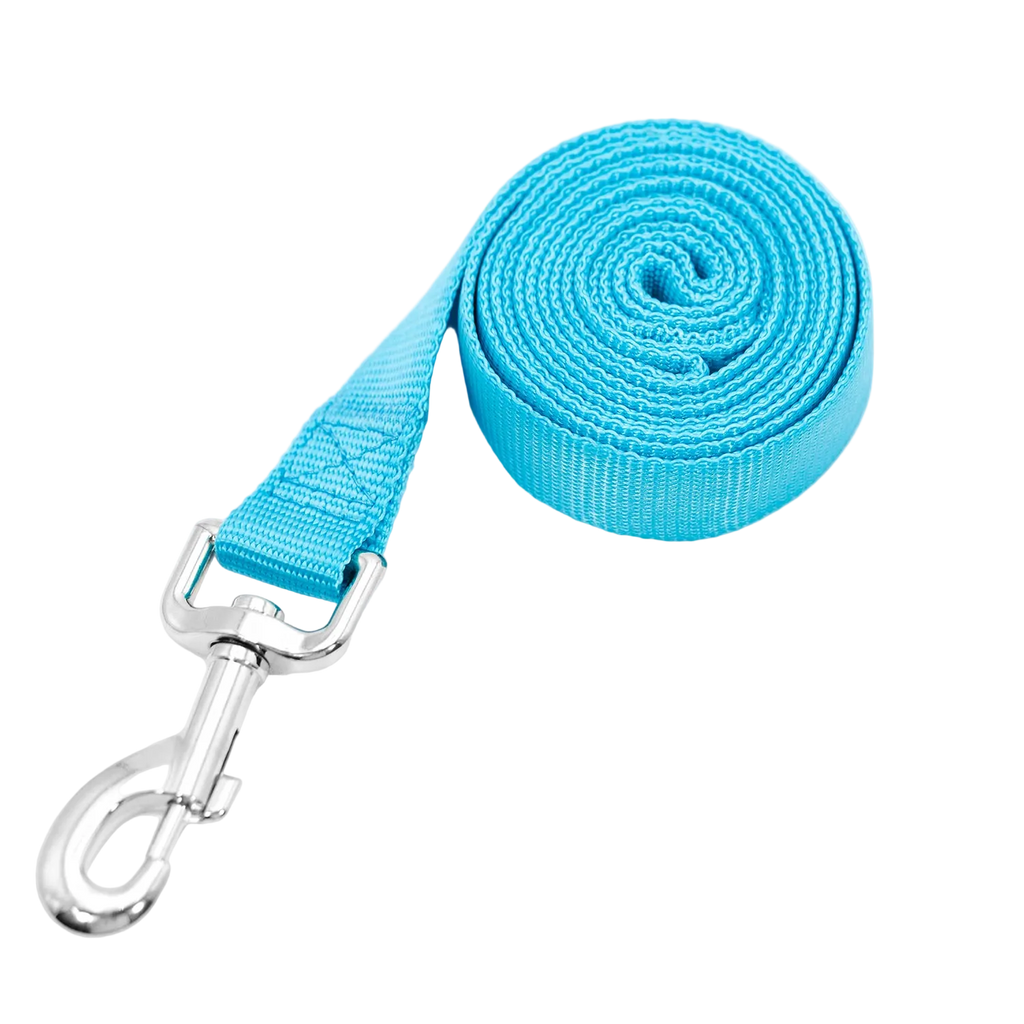 Jeffers 1-Ply Web Nylon Dog Leashes