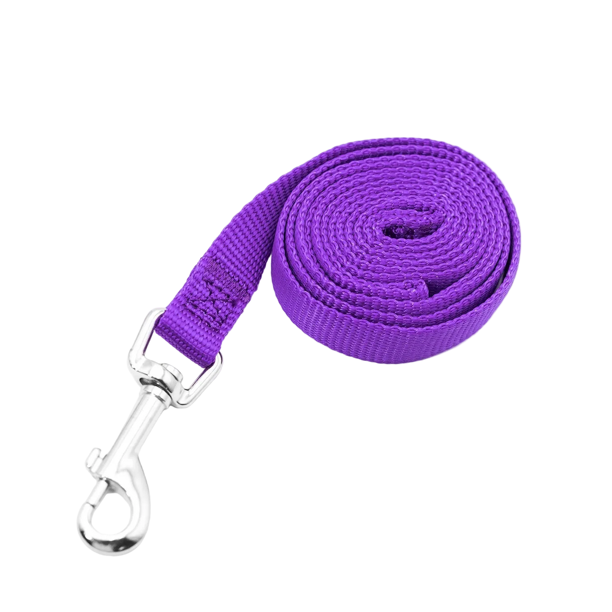 Jeffers 1-Ply Web Nylon Dog Leashes