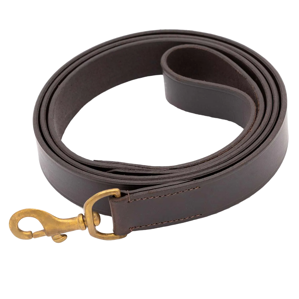 Jeffers Flat Leather Dog Leash with Hand Strap Handle, 6 Feet Long